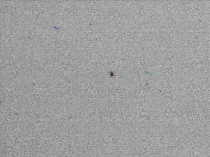 チャート - BV Dra, JD 2455619.32406