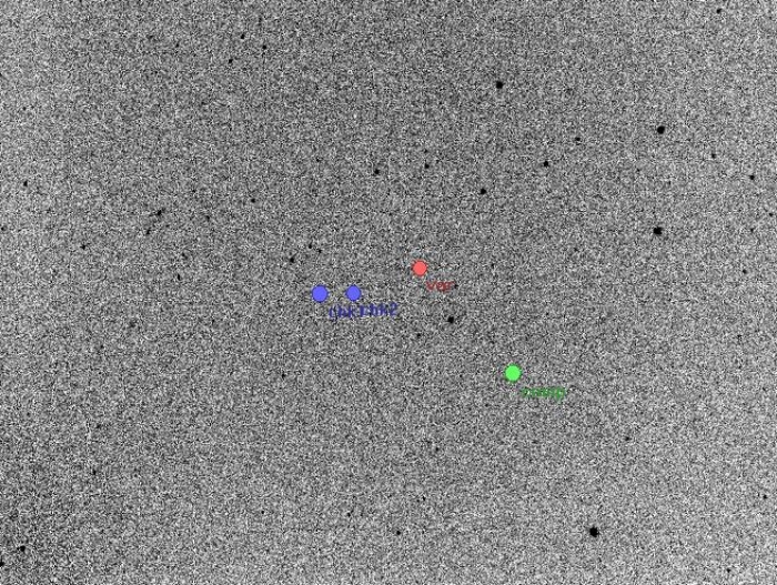 チャート - GM Boo, JD 2457878.32015