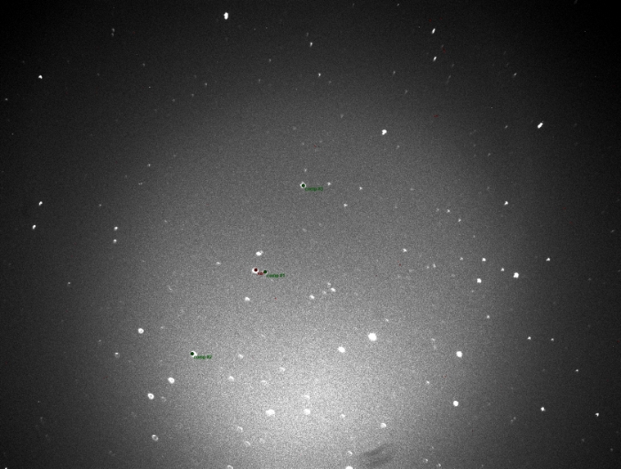 チャート - TOI 1131.01, JD 2460090.44051