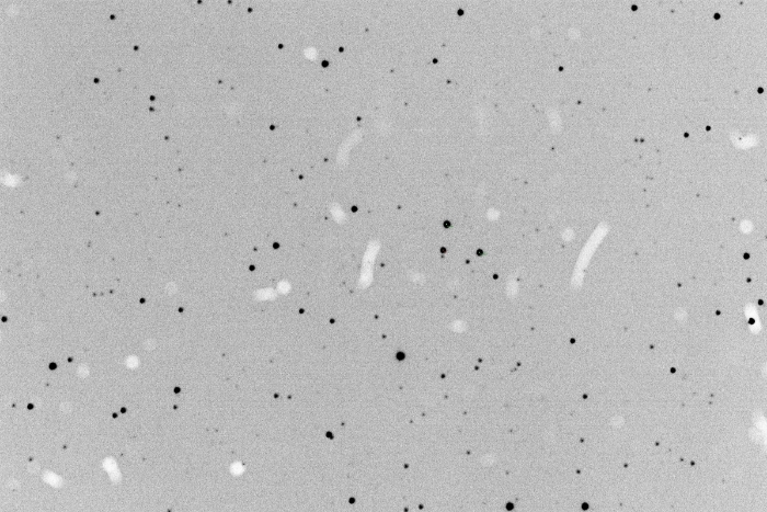 チャート - TOI 2119.01, JD 2460132.36120